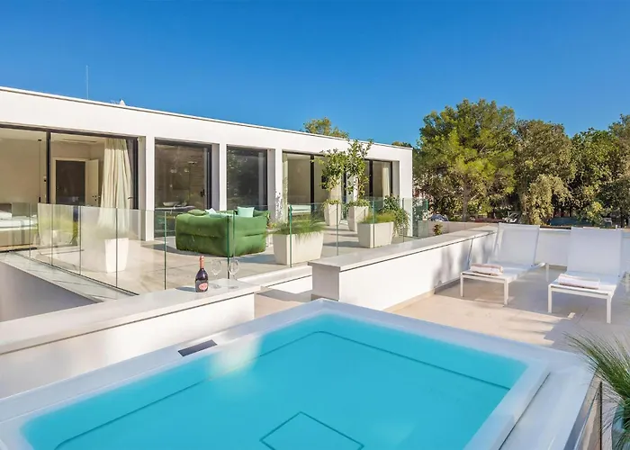 Amber * 파코스탄