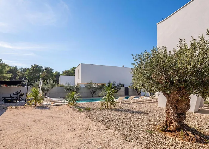 Amber * 파코스탄